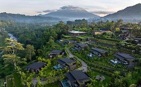 Samanvaya - Adults Only